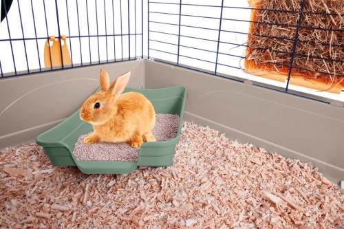 IMAC POLLY 2ND LIFE KISÁLLAT WC