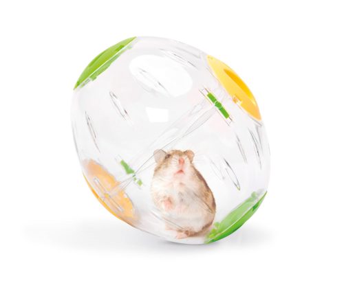 IMAC HÖRCSÖGFORGÓ TRANSPARENT Ø19CM