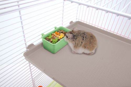 IMAC Hörcsög etető ketrecbe  8 x 5 x 3 cm