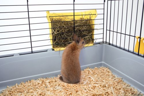 IMAC SZÉNATARTÓ 25,5X11X19cm