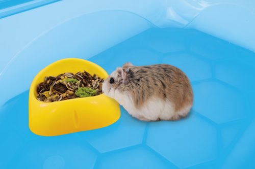 IMAC RÁGCSÁLÓ TÁL 9X9X3CM