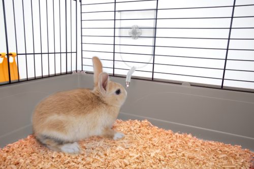 IMAC BIBBER RÁGCSÁLÓITATÓ CSEPEGÉSMENTES 800 ml 12X6,5X19CM